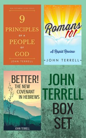 Cover of the book John Terrell Box Set by GEORGE PRASHER, Hayes Press