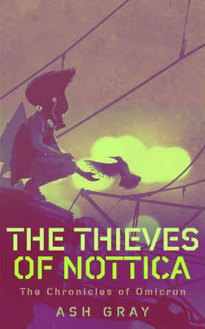 Cover of the book The Thieves of Nottica by V. S. Holmes