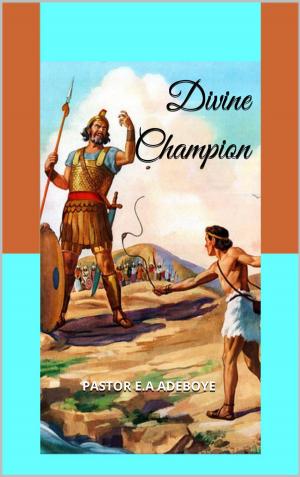 Book cover of Divine Champion