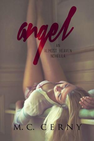 Cover of the book Angel by Ann Omasta