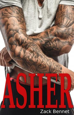 Cover of the book Asher by Dan Sexton
