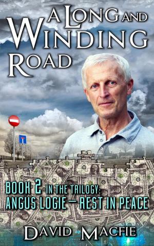 Cover of the book A Long and Winding Road by William Butler