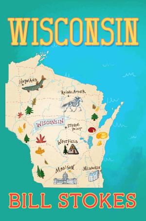 Cover of the book Wisconsin by David Olimpio
