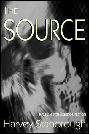 Cover of the book The Source by Sara Brookes