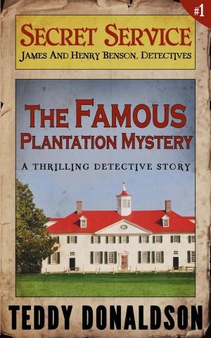 Cover of the book The Famous Plantation Mystery by A.G. Wyatt