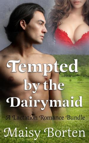 Cover of the book Tempted by the Dairymaid by B.J. Taylor, Marie Krepps, Nikola Christain, Dallas C, Paul White, Rebekah Jonesy, Mara Reitsma, Lynn Mullican