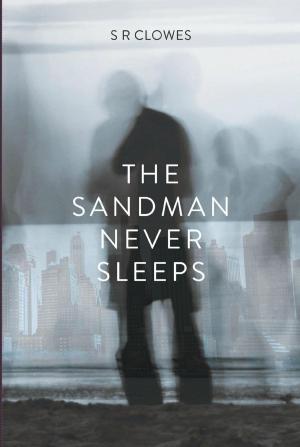 Cover of the book The Sandman Never Sleeps by Simon Woodington