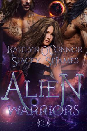 Cover of the book Alien Warriors by K.M. Zant