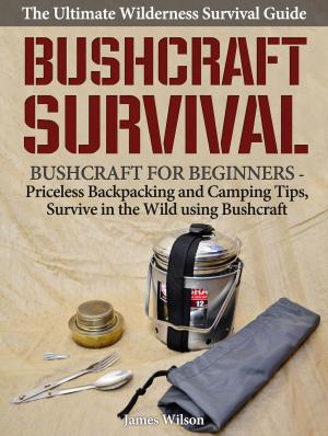 Cover of the book Bushcraft Survival: A Complete Wilderness Survival Guide: Bushcraft 101 - Backpacking & Camping Tips, Survive in the Wild using Bushcraft by Daniel Hill