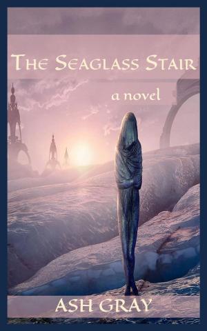Cover of the book The Seaglass Stair by Venkataraman Gopalakrishnan