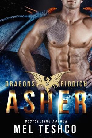 Cover of the book Asher by Mel Teshco