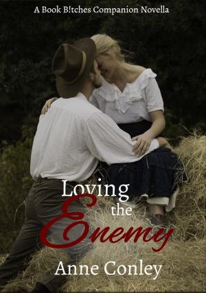 bigCover of the book Loving the Enemy by 