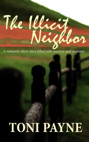 Book cover of The Illicit Neighbor