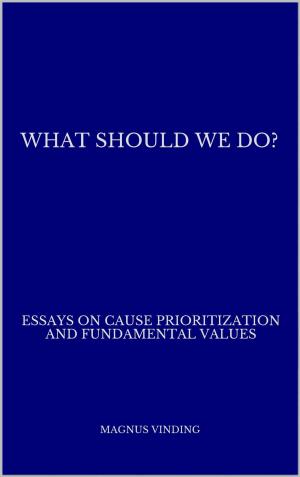 Cover of the book What Should We Do?: Essays on Cause Prioritization and Fundamental Values by David Pearce