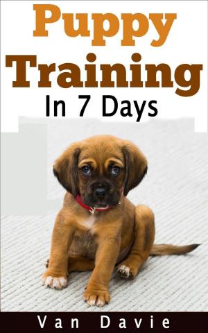Cover of Puppy Training in 7 Days