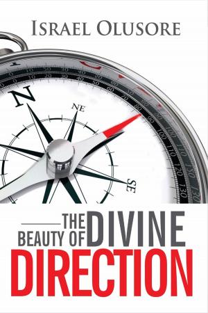 Cover of the book The Beauty of Divine Direction by Lee B. Mulder