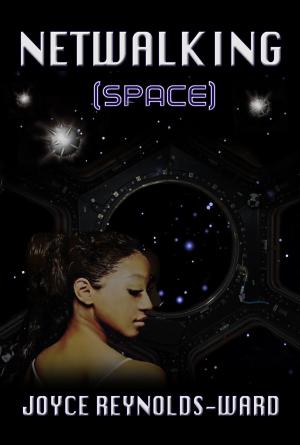 Book cover of Netwalking Space