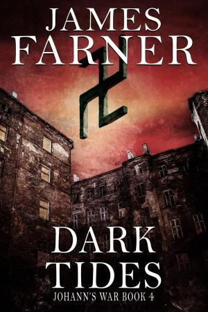 Cover of the book Dark Tides by James Farner