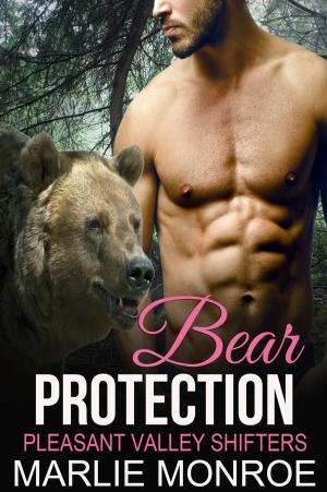 Cover of the book Bear Protection by Iulian Ionescu, Mike Resnick, Ferrett Steinmetz