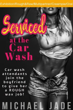 Cover of the book Serviced at the Car Wash by Felice Fox