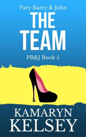 bigCover of the book Pary Barry & John- The Team by 