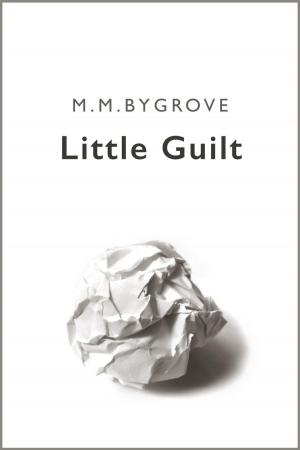 Book cover of Litte Guilt