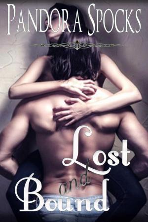 Cover of Lost & Bound