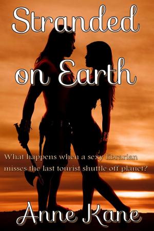 Cover of the book Stranded On Earth by Amber Garr