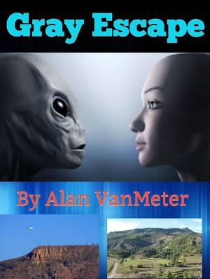 Book cover of Gray Escape