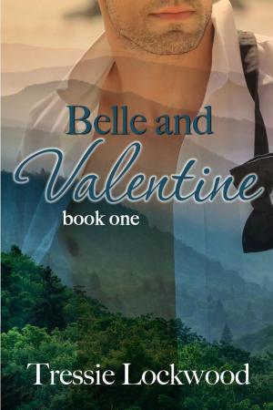 Cover of the book Belle and Valentine by Katie Porter