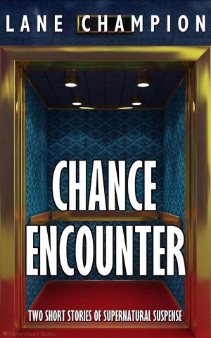 bigCover of the book Chance Encounter by 