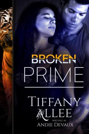 bigCover of the book Broken Prime by 