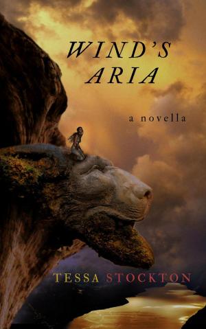 Cover of the book Wind's Aria by Stella Demaris