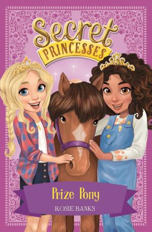 Book cover of Prize Pony
