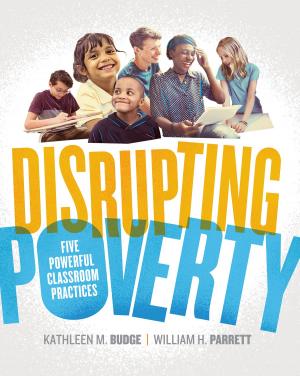 Book cover of Disrupting Poverty