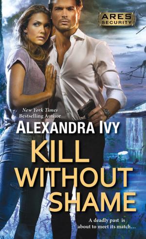 Cover of the book Kill Without Shame by Lindsay McKenna