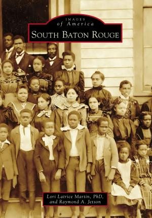 Cover of the book South Baton Rouge by Chris Scott