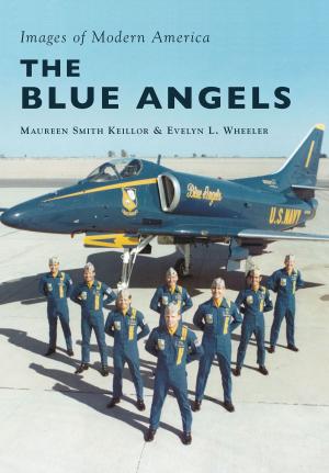 Cover of the book The Blue Angels by Nancy Griffith