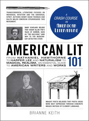 Cover of the book American Lit 101 by James Stuart Bell