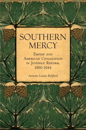 Cover of the book Southern Mercy by William Beard