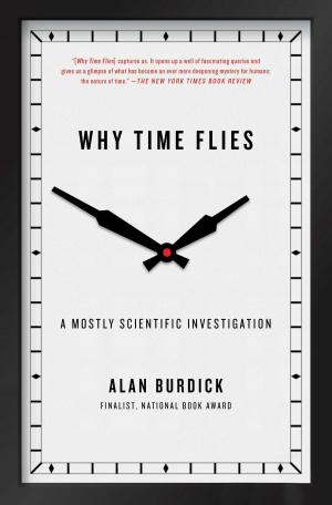 Cover of the book Why Time Flies by Jeff Guinn