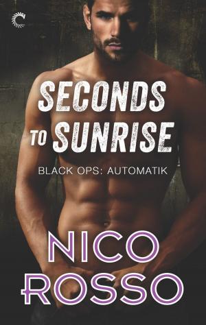 Cover of Seconds to Sunrise