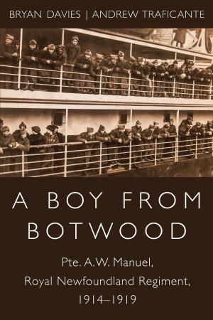 Cover of the book A Boy from Botwood by Lois Winslow-Spragge