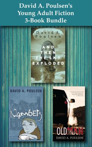 Book cover of David A. Poulsen's Young Adult Fiction 3-Book Bundle
