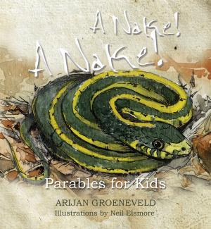 bigCover of the book A Nake! A Nake! by 