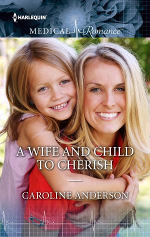 Cover of the book A Wife and Child to Cherish by Steph Nuss