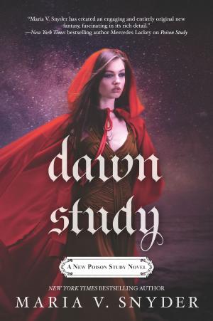 Cover of the book Dawn Study by Elizabeth Heiter