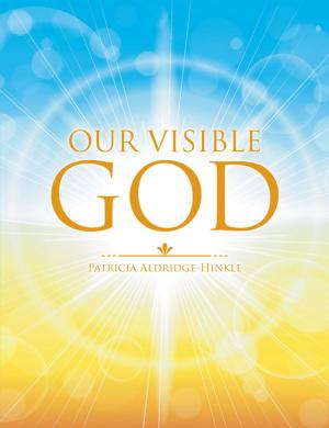 Cover of the book Our Visible God by Jim Wainscott