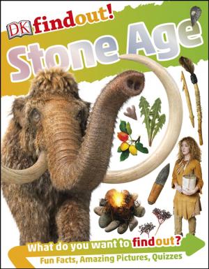 Cover of the book DKfindout! Stone Age by Kate Turner