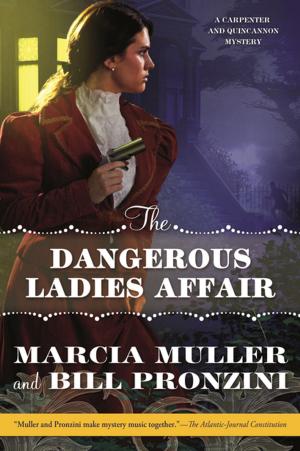 Book cover of The Dangerous Ladies Affair